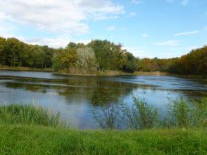 Photo de l'étang de l'isle à Lezoux